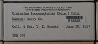 Image Associated With the Occurence